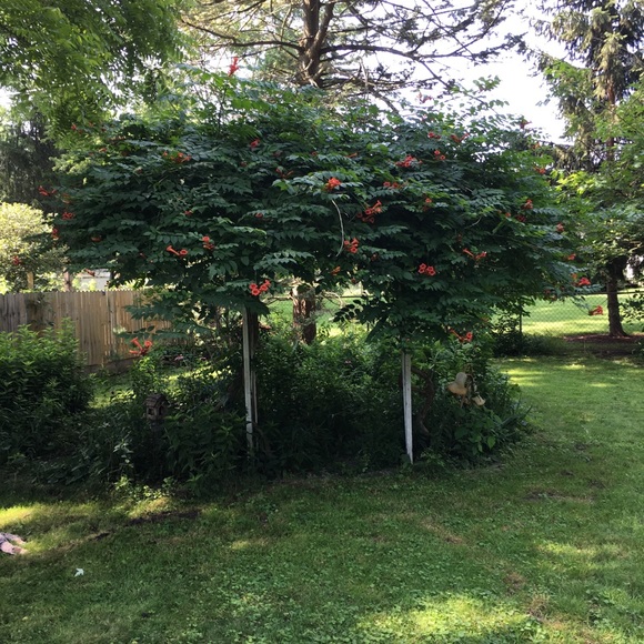 Meet your Posher, Jen - Picture 4 of 7